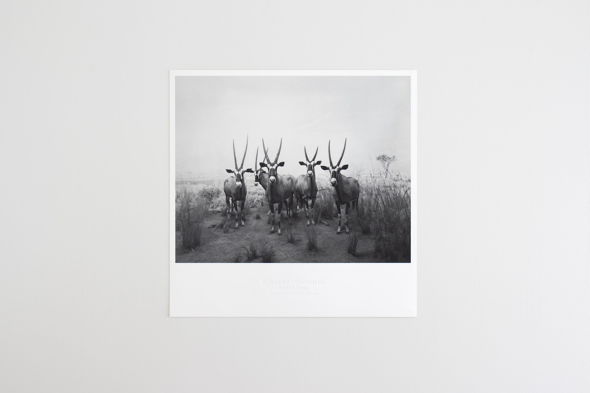 杉本博司の名作がコレクティブルなポスターになっている。見つけたら