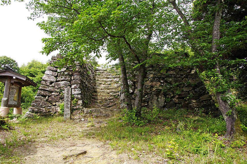 徳島】一宮城の御城印｜販売場所はどこ？いくらで買えるの？ | 御城印