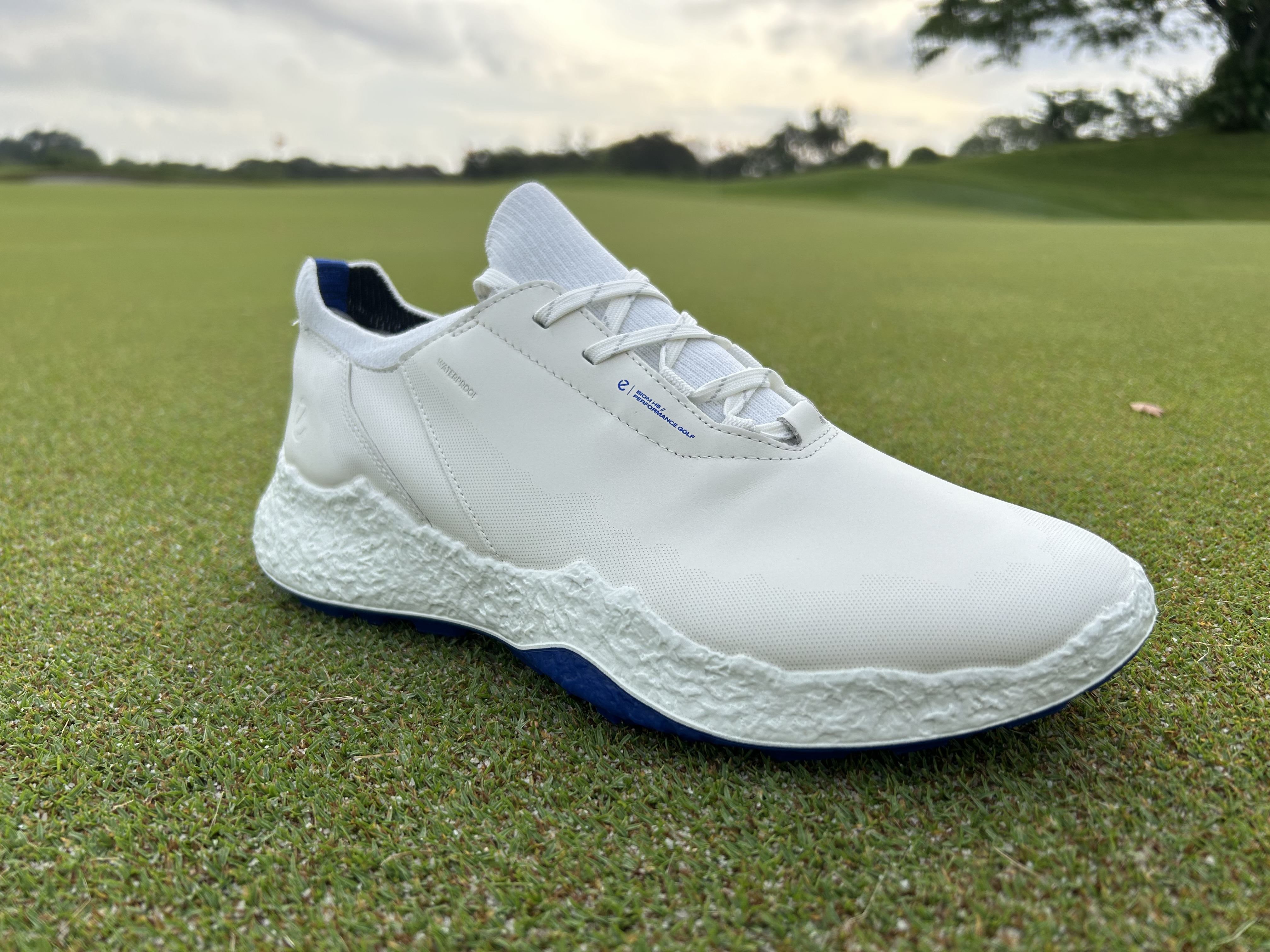 Ecco BIOM H5 Shoe Review - Golfalot