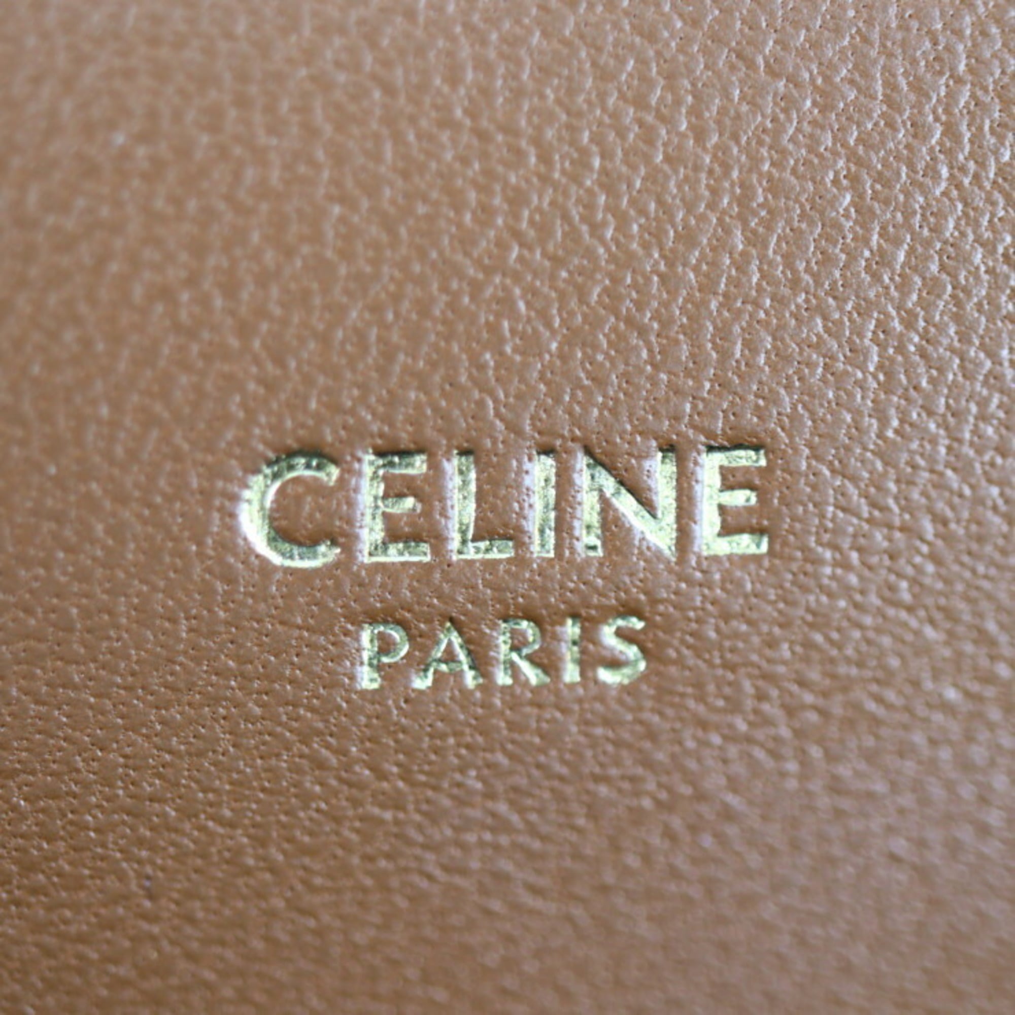 CELINE Phone Case Triomphe Shoulder Bag 10G332CQD.04LU PVC Leather