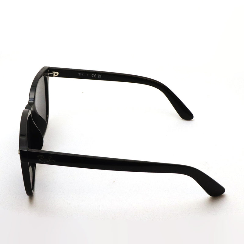 レイバン サングラス Ray-Ban RB4401D 60187 – GLASSMANIA -TOKYO AOYAMA-