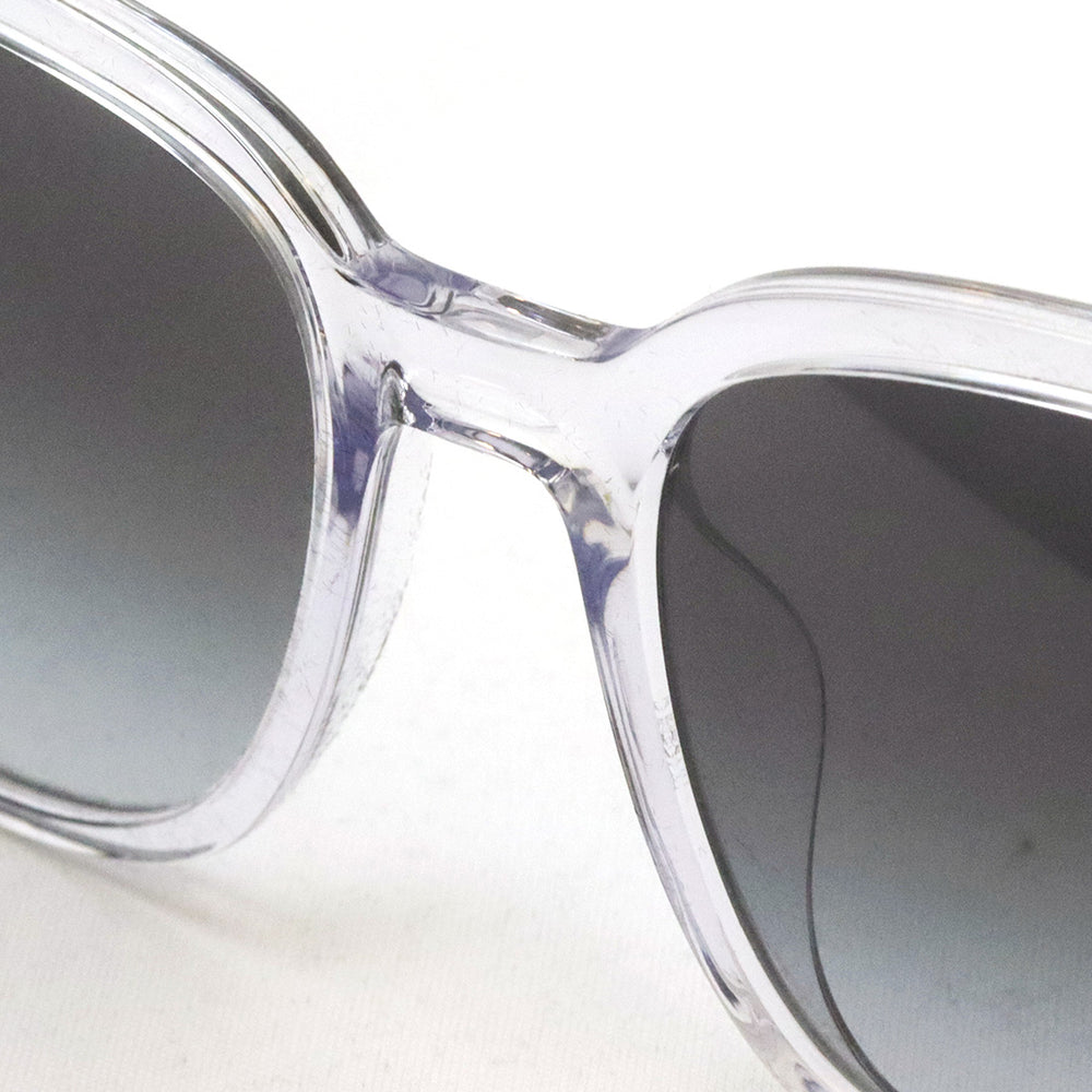 レイバン サングラス Ray-Ban RB4401D 64478G – GLASSMANIA -TOKYO AOYAMA-