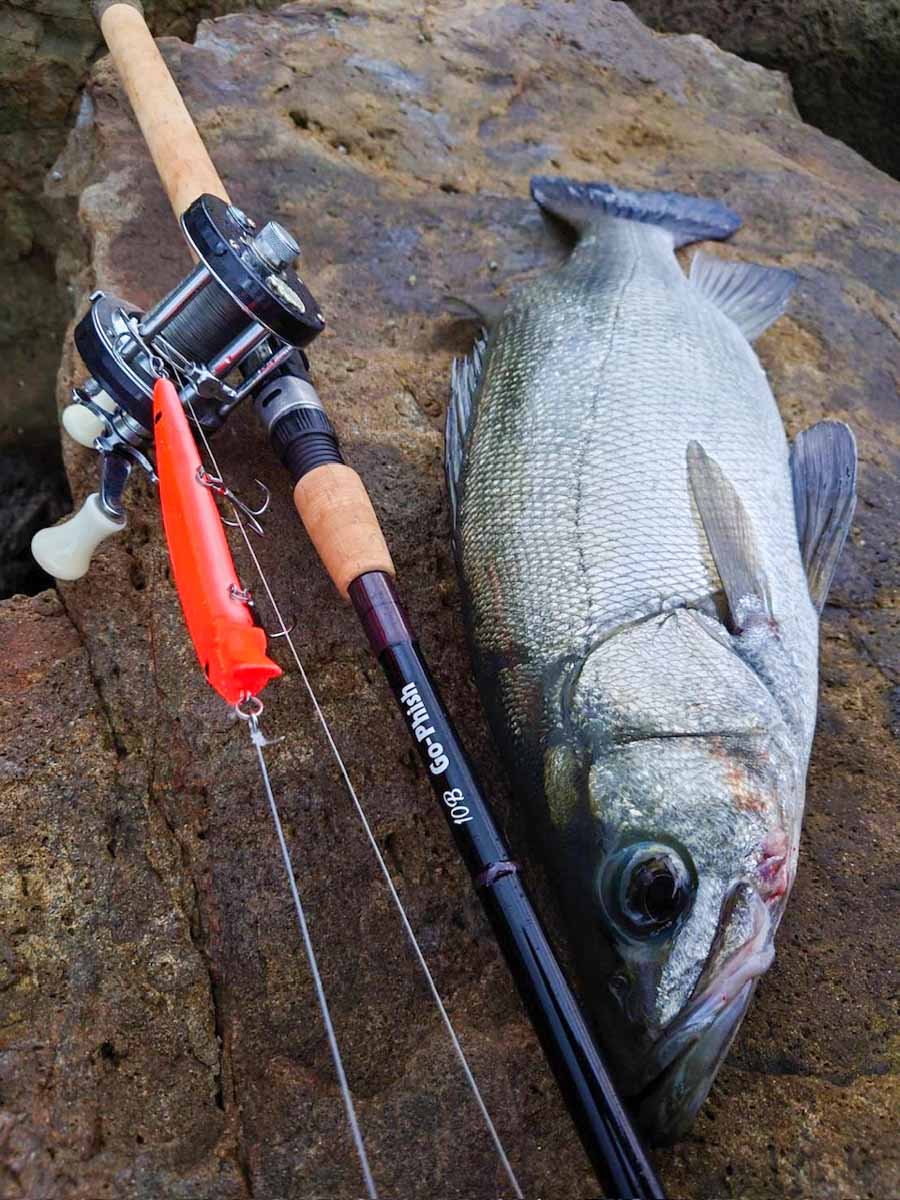 ロッド：Go-PhishGlass 7ft Bait/Spin 発売です！！ | Go-Phish Go