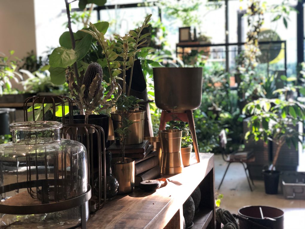 Rust | GREEN SPRINGS（グリーンスプリングス）