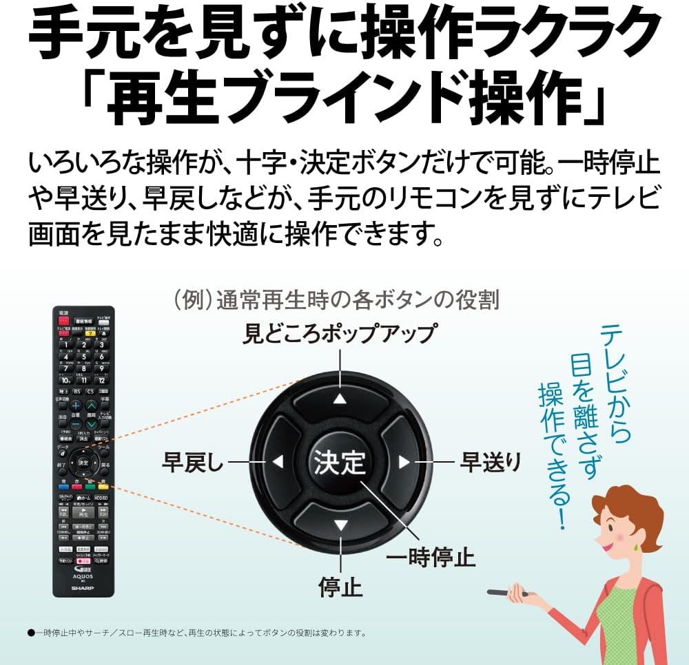 月額6,980円レンタルプラン：シャープ AQUOS ブルーレイレコーダー 2B