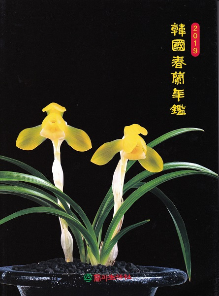 2019年韓国春蘭年鑑 - 東洋蘭専門店 花ごよみ | 春蘭・富貴蘭など通販