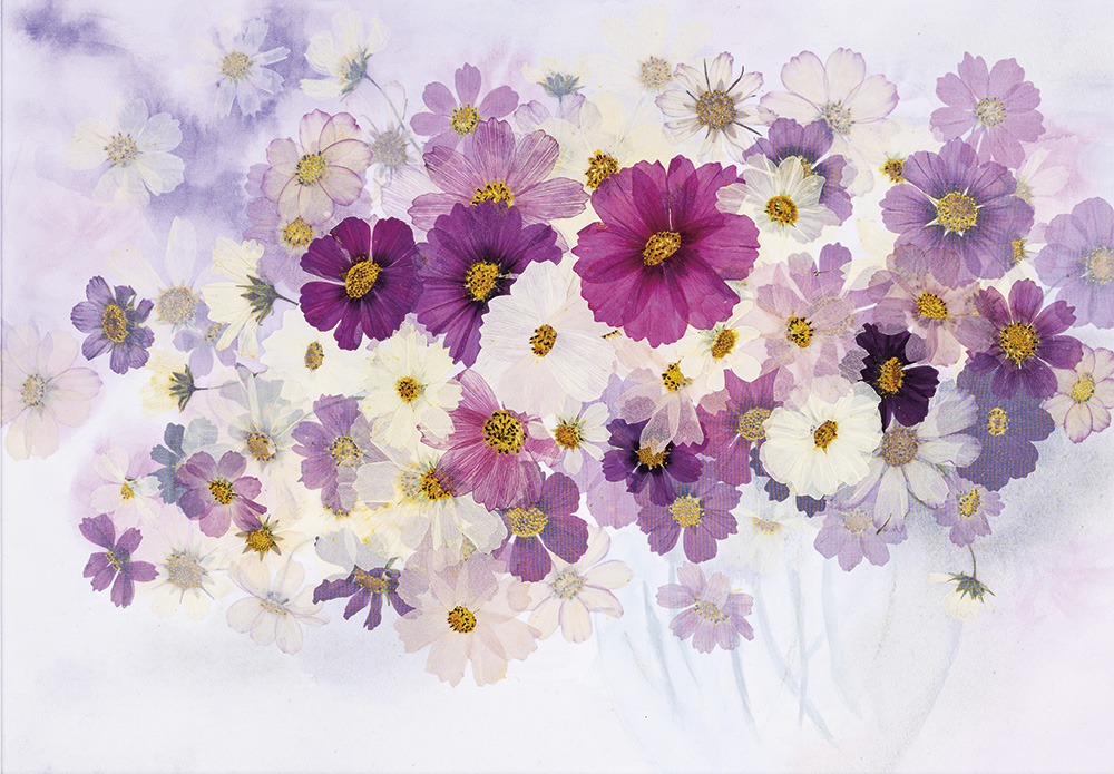 第21回 押し花絵画創造展 作品募集 – ハルメク花アート｜押し花