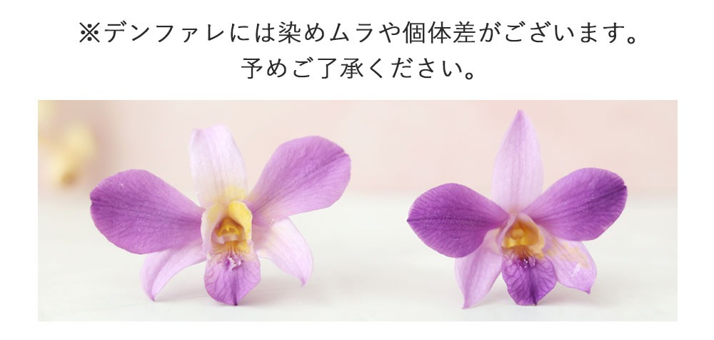 送料無料 プリザーブドフラワー 仏花 お供え用アレンジメント 永会 n2