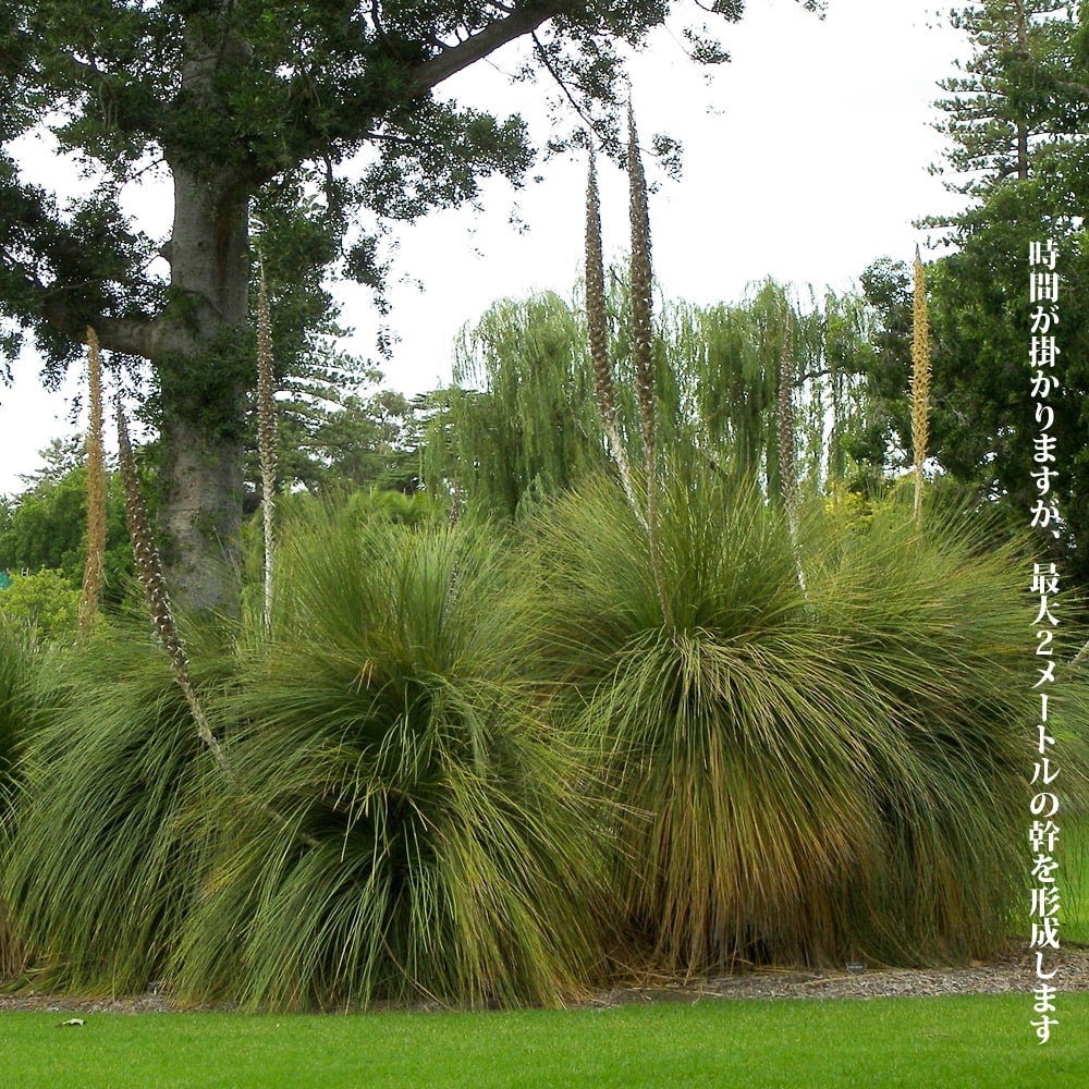 000000087871-04.jpg?size=l&w=