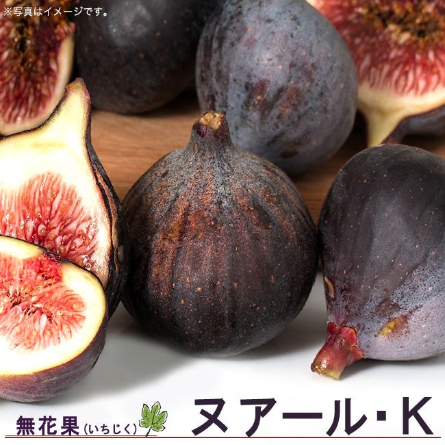 000000002021-01.jpg?size=l&w=