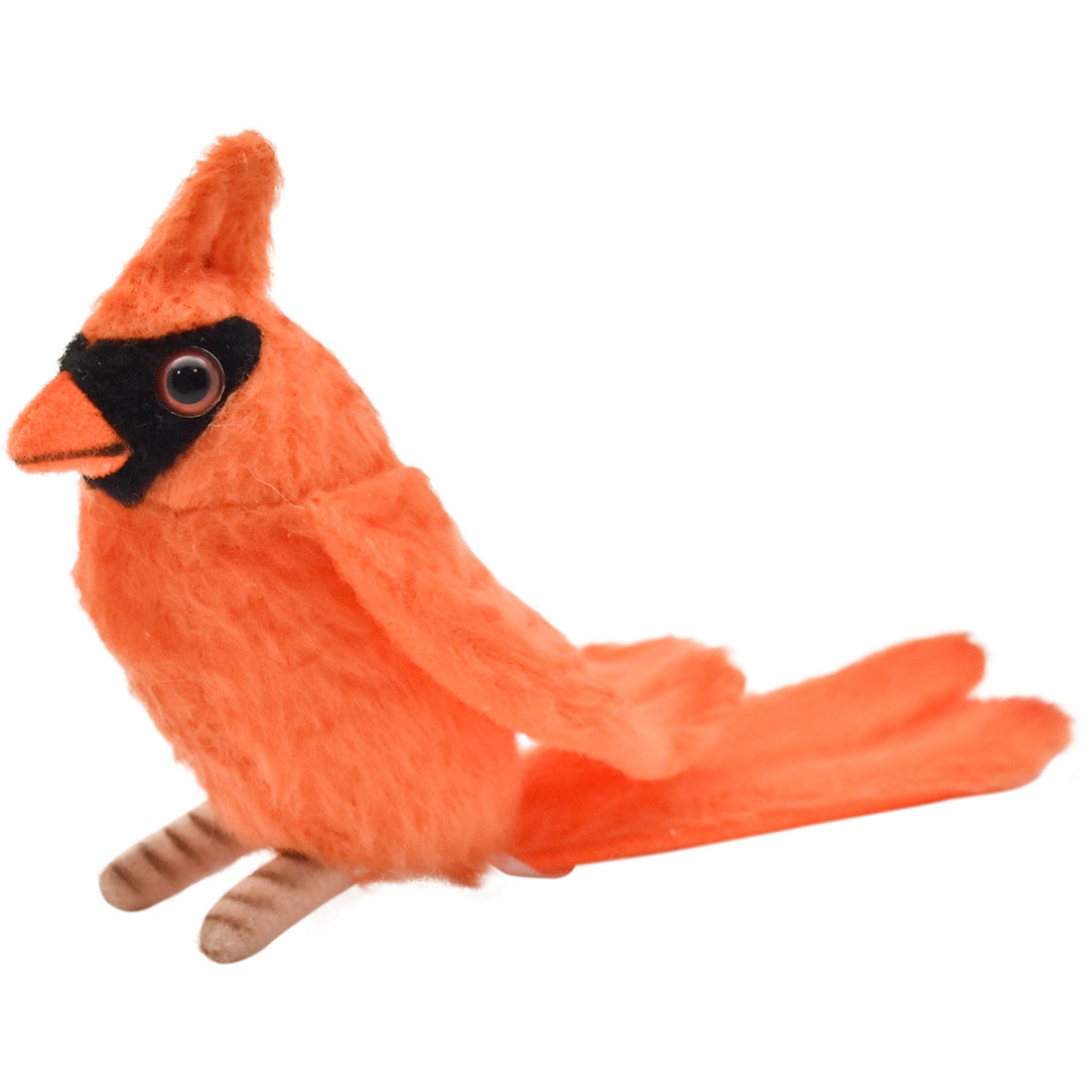 オレンジ ショウジョウコウカンチョウ 13 | HANSA