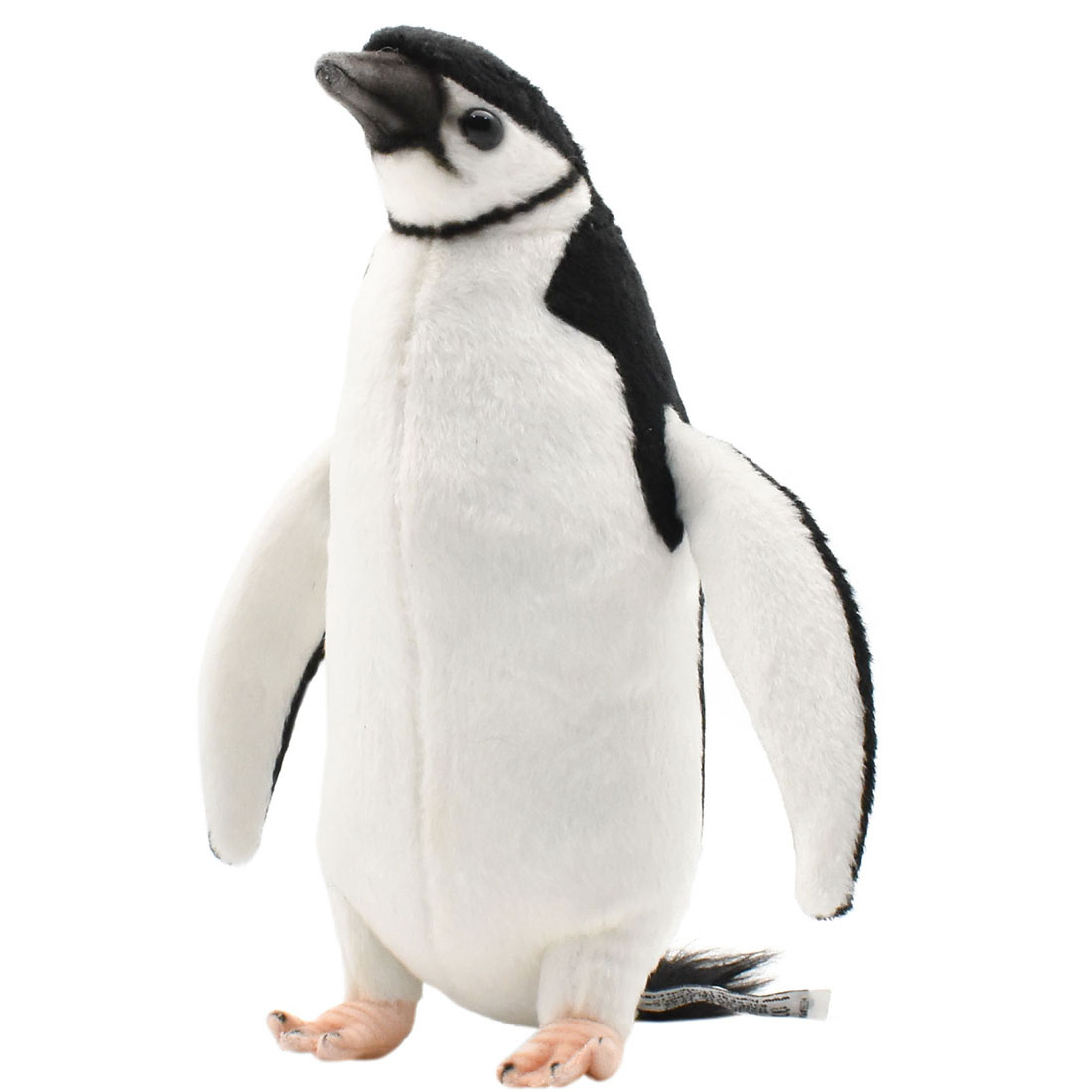 ヒゲペンギン 23 | HANSA