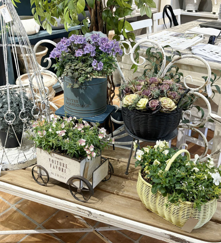 おしゃれな植木鉢をお探しなら！ ガーデニングの専門店 - 鉢人