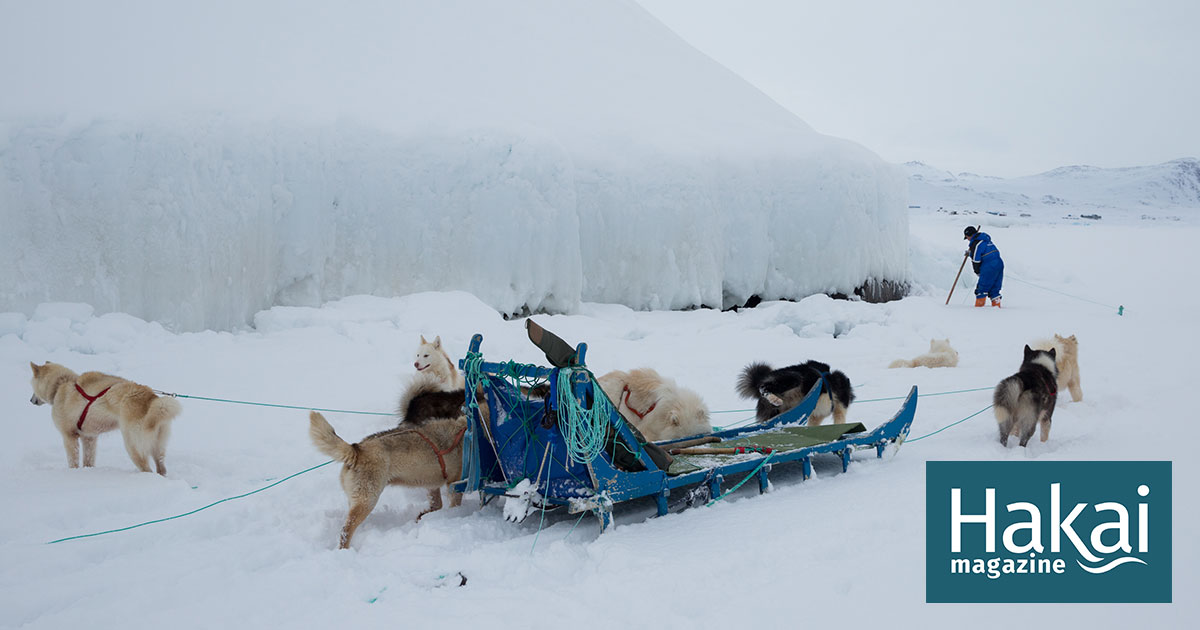 Arctic Dogsledding Culture Is Slipping Through the Cracks | Hakai
