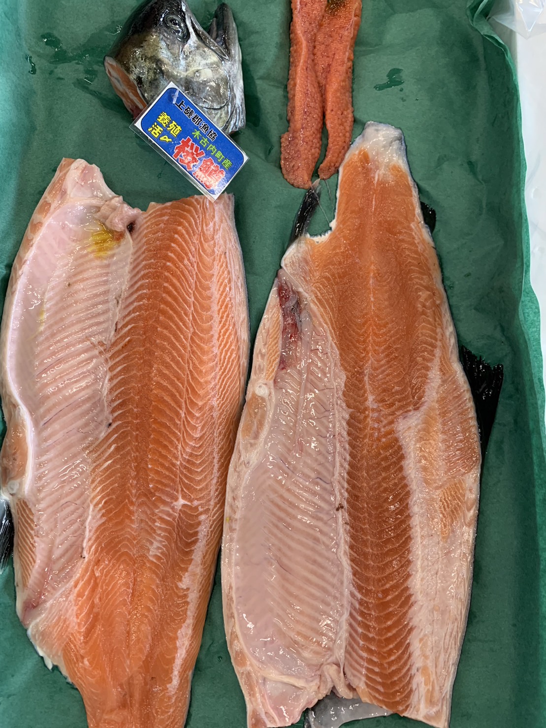 お魚紹介シリーズ】養殖サクラマスについて | 函館魚市場株式会社