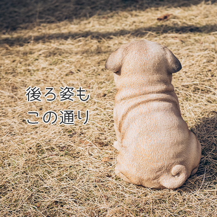 ちょこんと座るわんこ《パグ（19.3cm）》 – ガーデン用ソーラーライト