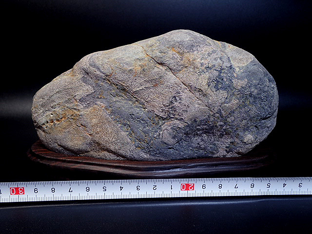 ◇天然石！瀬田川産：真黒石／龍神様：標本，鑑賞石／台座付No,100