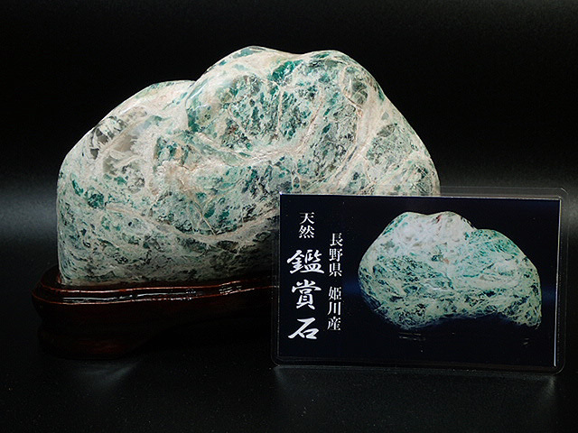 姫川産色彩石 見せ 姫川産緑石 自然石 台座付き 鑑賞石 水石