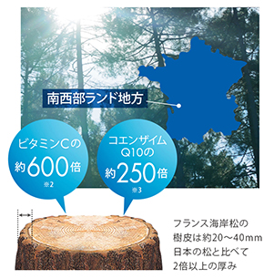 終売【SimiTRY（シミトリー） パーフェクト ホワイト クレンズ