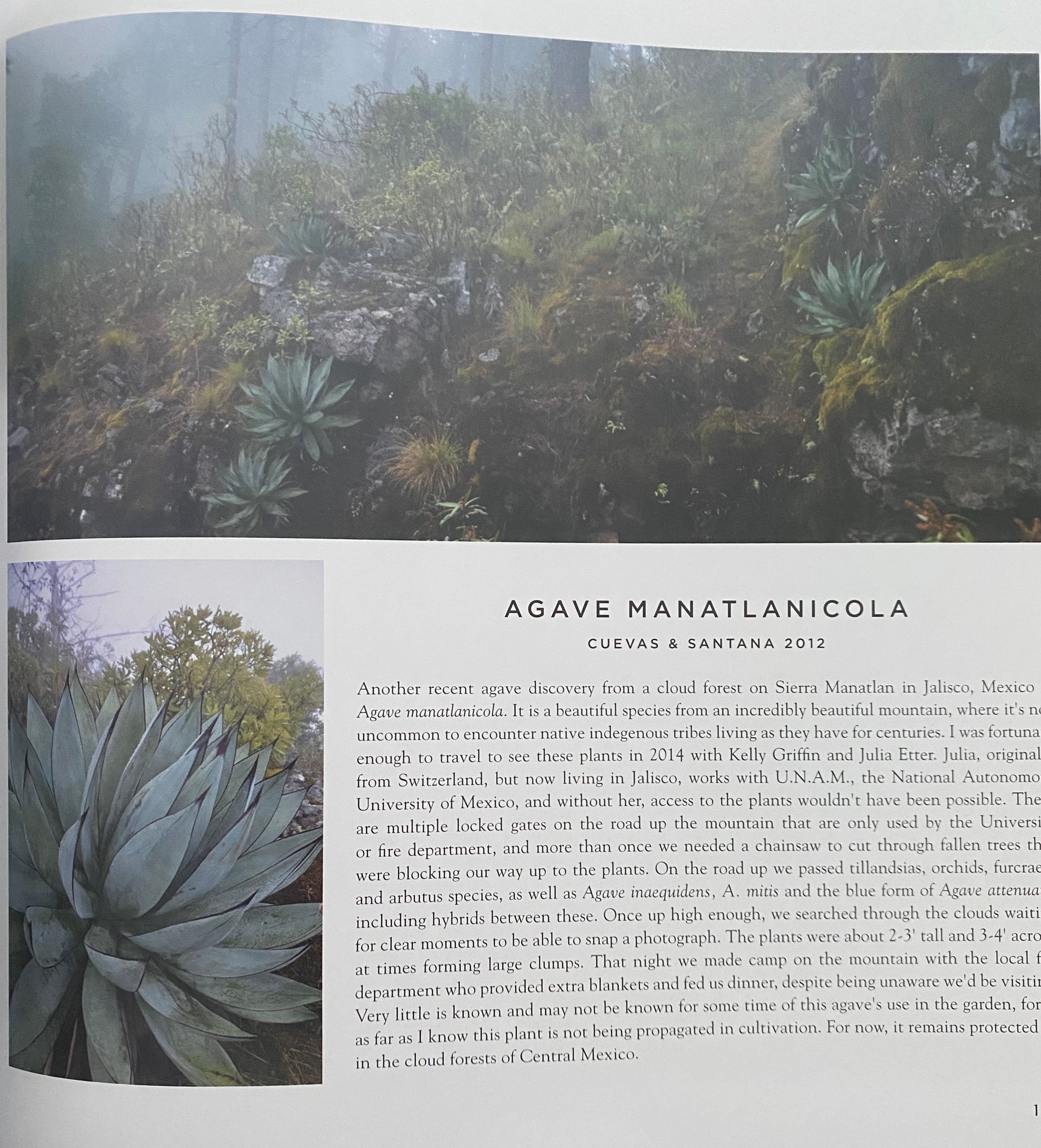 Agaves, species, cultivars, & hybrids 2nd Ed. – Hidden Agave