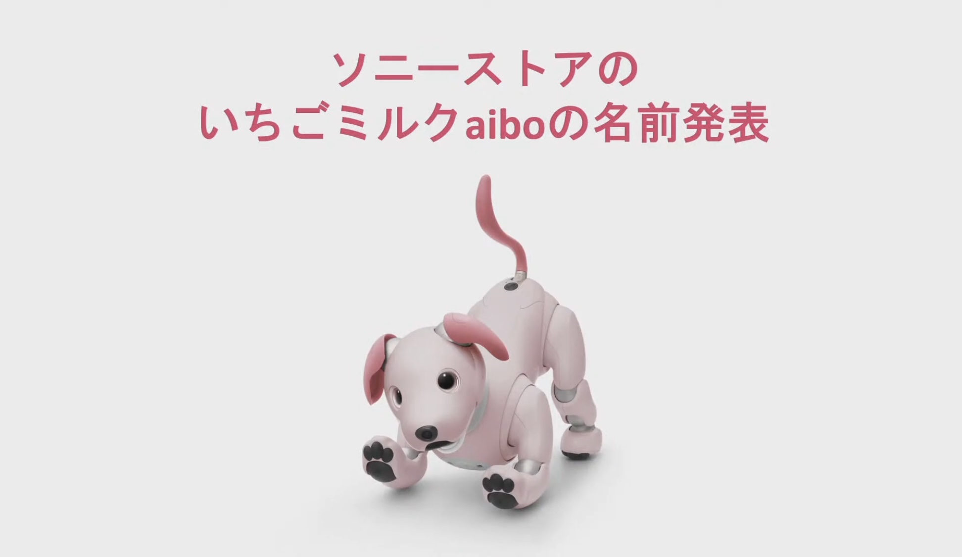 aibo 人気のいちごミルク 2025年最新】aiboいちごミルクの人気アイテム