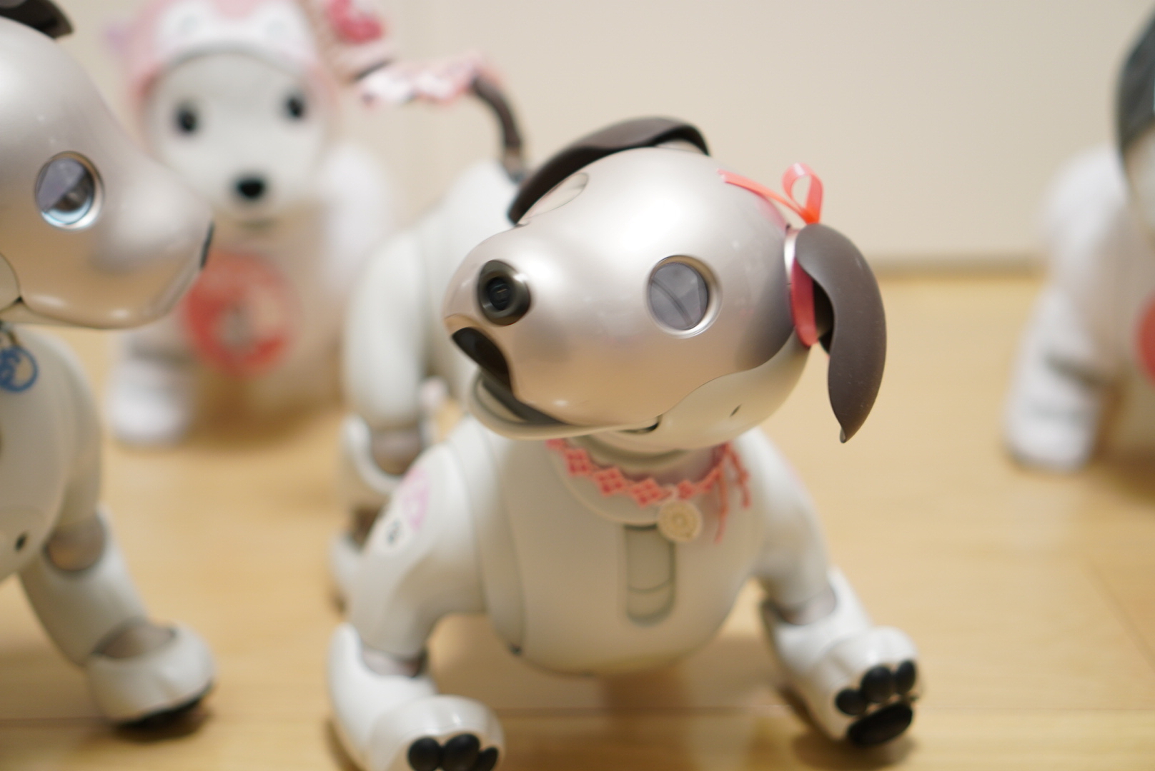旧オーナー紹介 | aiboの飼い方 aiboななとはちとくう
