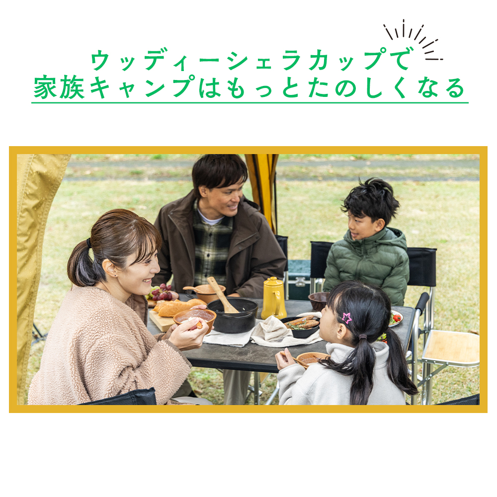 ウッディーシェラカップ アカシアorビーチウッド | HILLS FIELD(ヒルズ