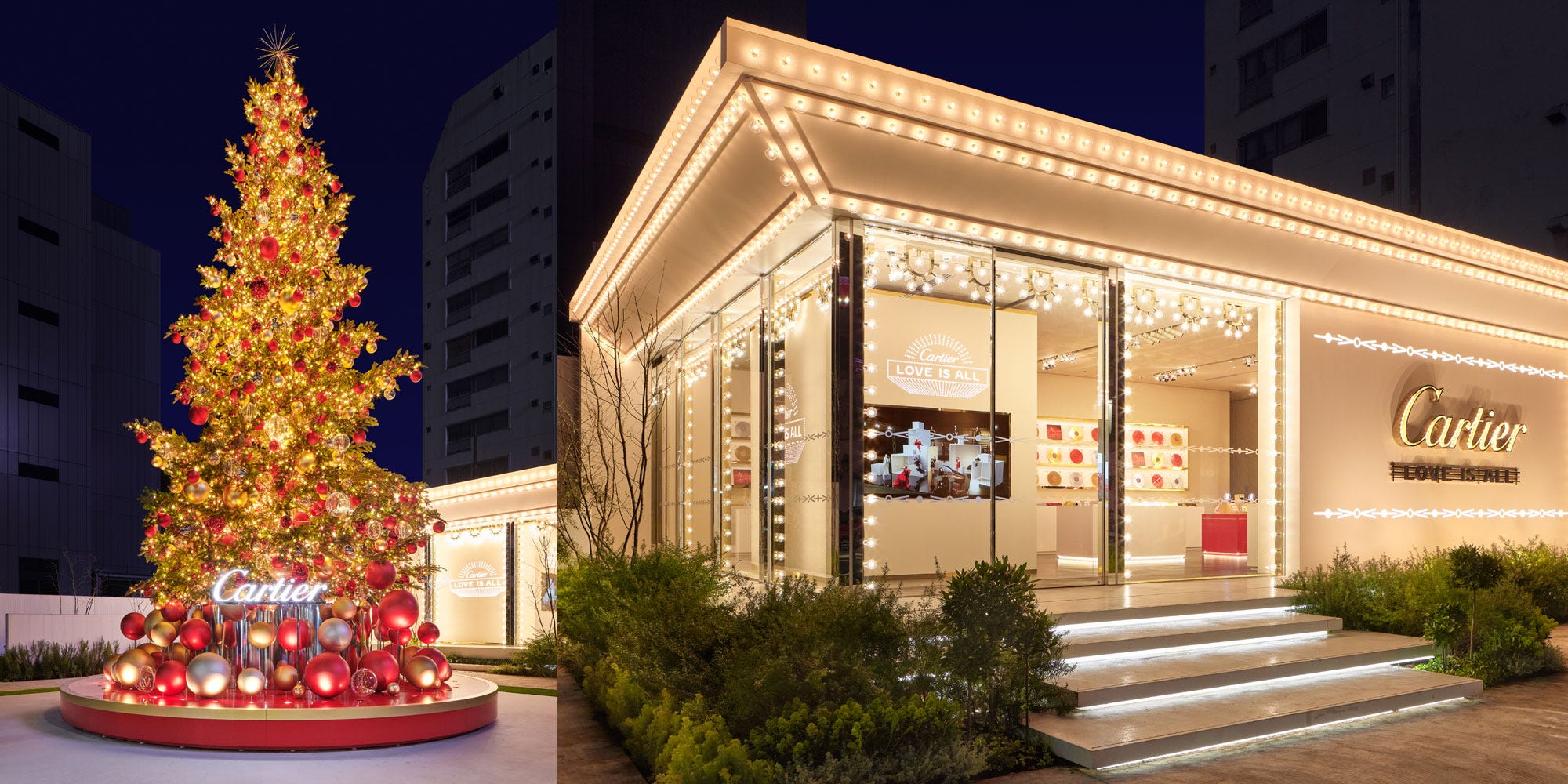 top-1669263351.jpg?crop=0.