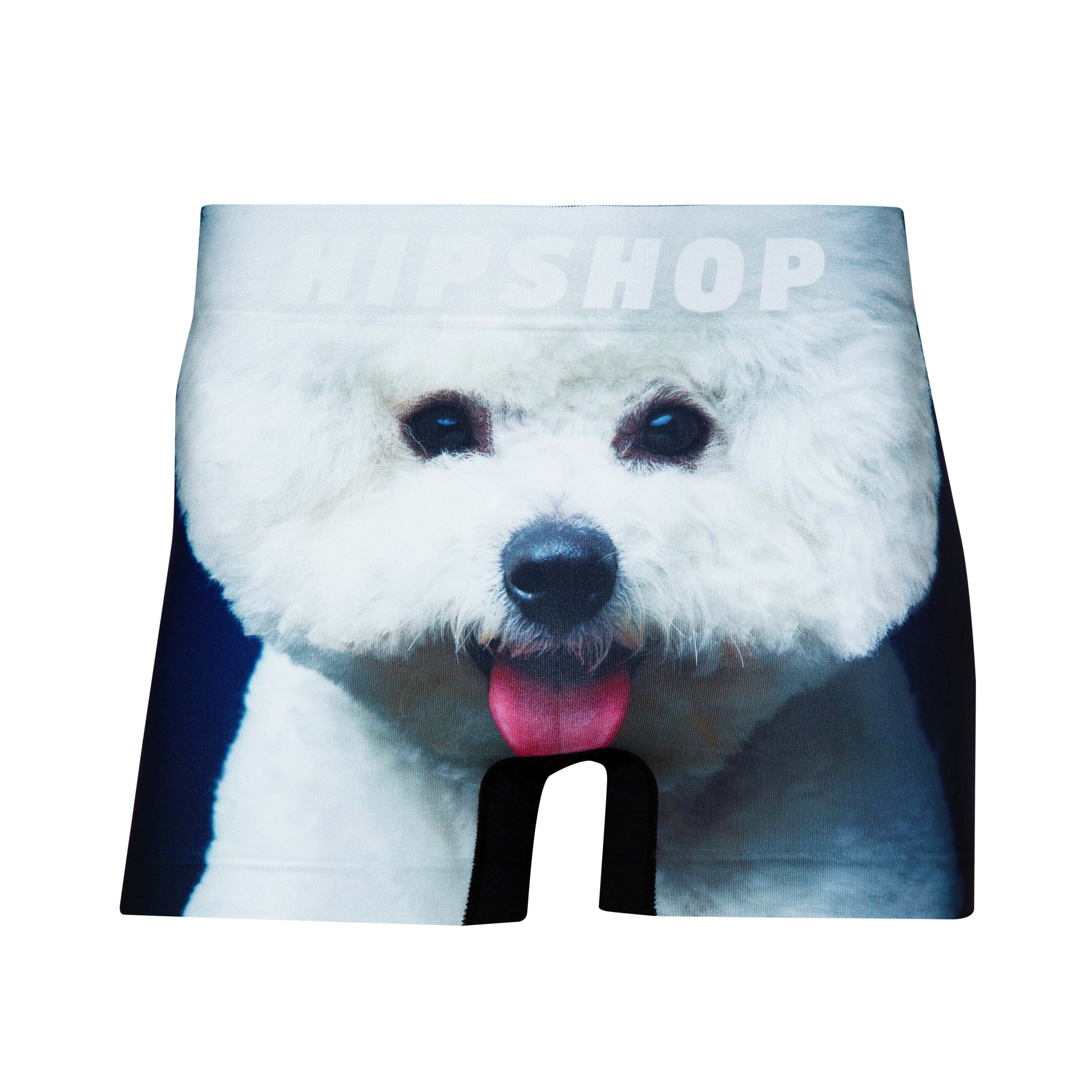 BICHON FRISE/ビション・フリーゼ アンダーパンツ メンズ ポリエステル
