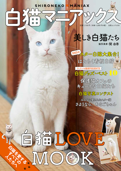 化猫 白猫好き 白猫好き 白猫好き 白猫好き 白猫