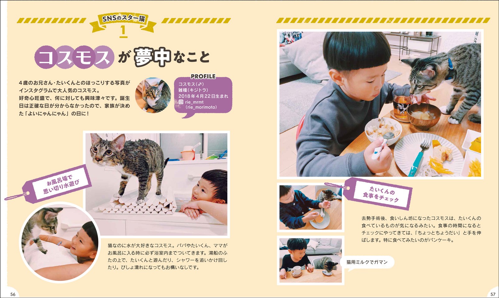 うちのお猫さま - 株式会社玄光社