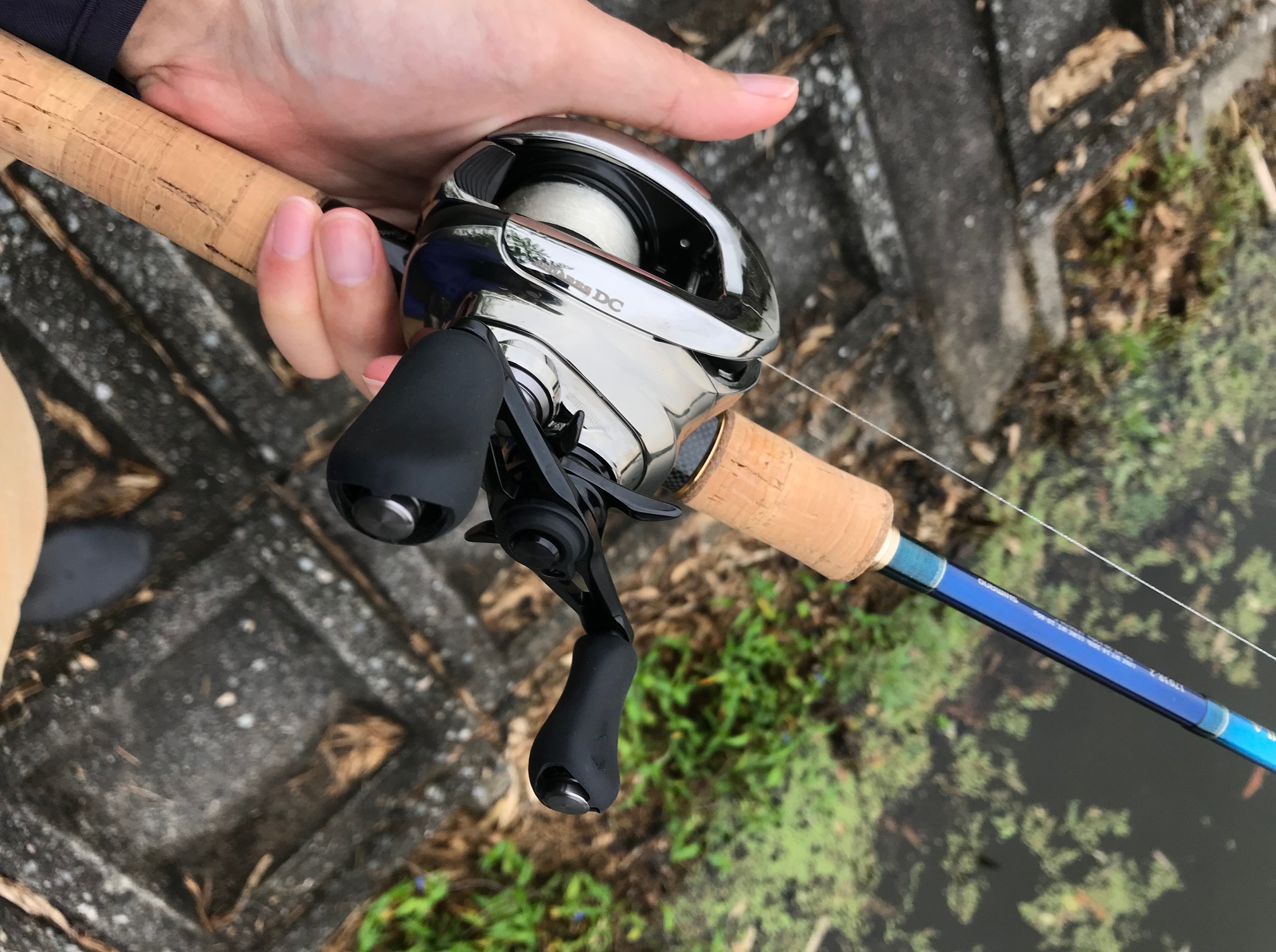 21アンタレスDC HG インプレ | ほんきであそぶろぐ