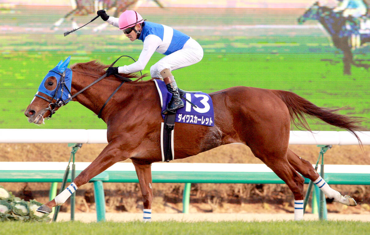 有馬制した牝馬3】ダイワスカーレットが歴史的な逃走劇 37年ぶりの