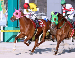 豪コックスプレート】リスグラシュー横綱相撲で海外G1初制覇 先週の