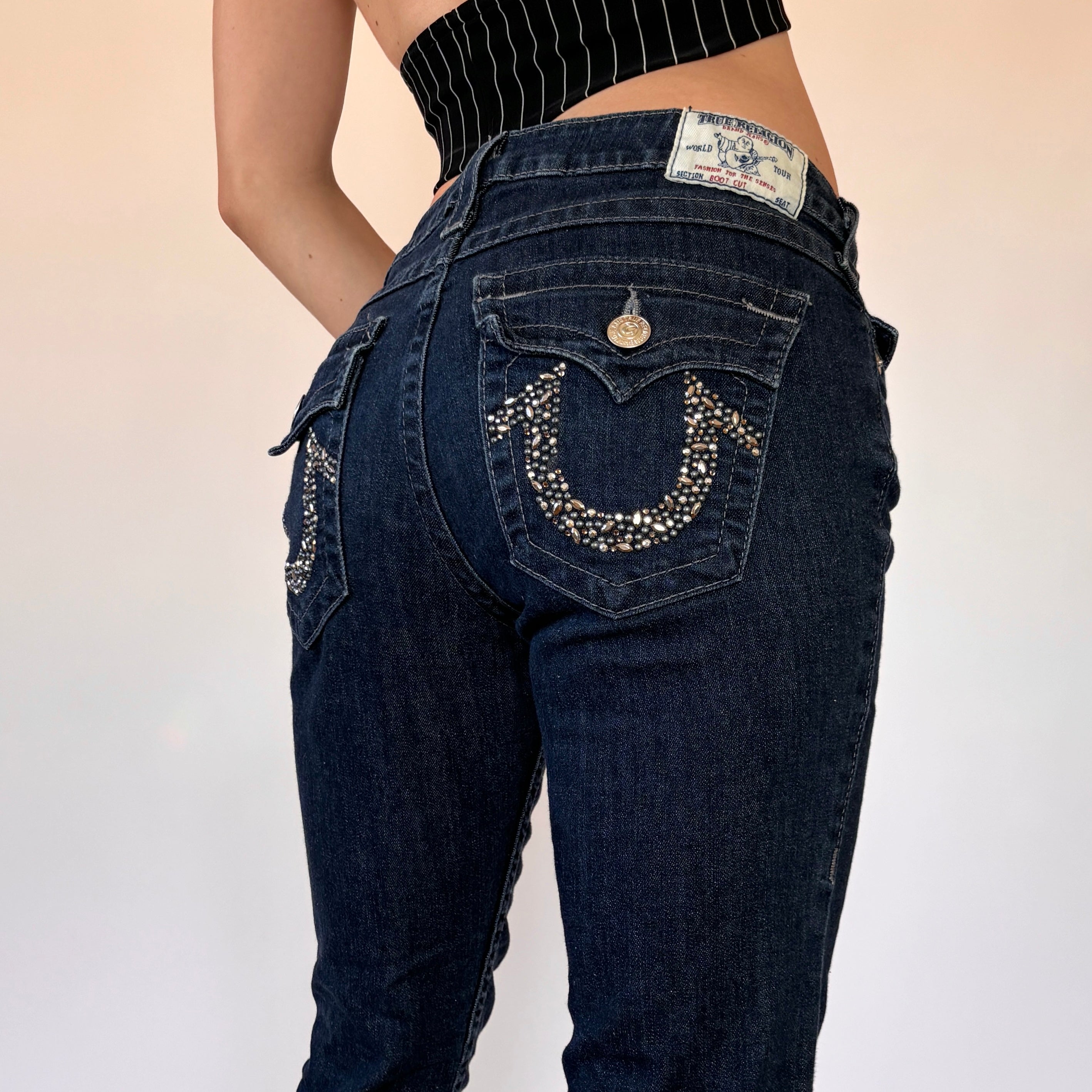 True Religion Low Rise Y2K Jeans (S) – Holy Thrift