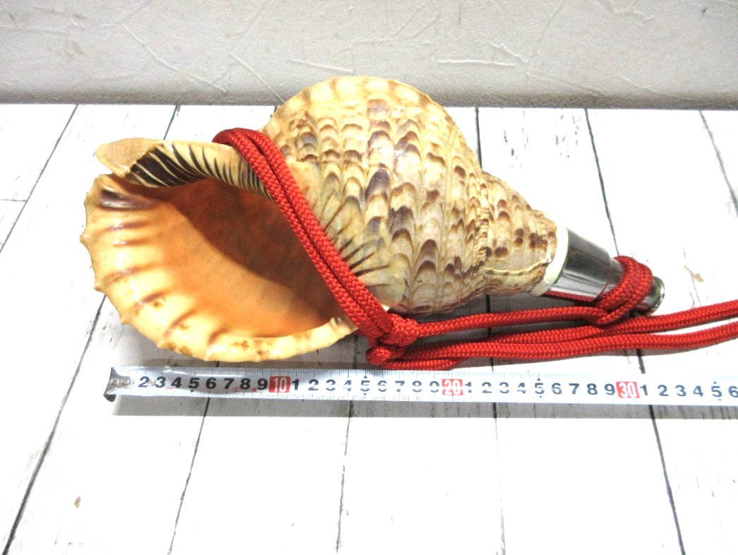 山伏が携えた？！法螺貝(ほら貝) | 大阪の骨董品・リサイクル品・不