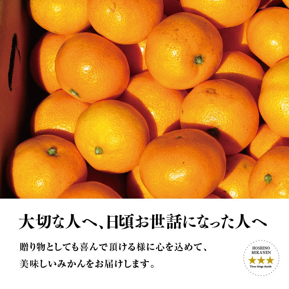 星乃みかん【木成り完熟/極上小玉】5kg – 星乃柑園