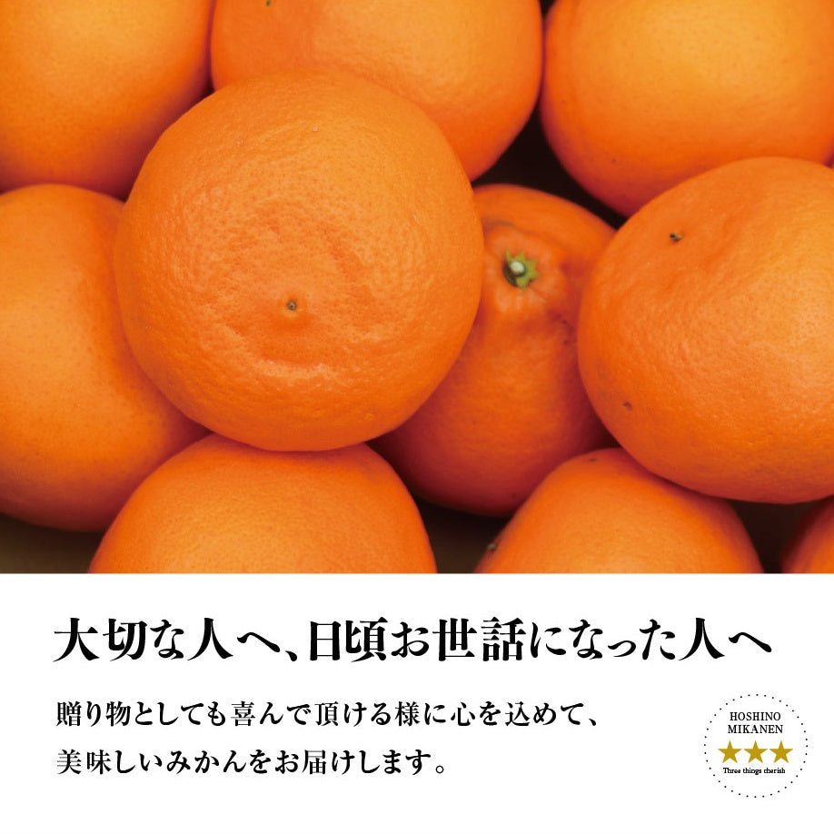 星乃せとか【木成り完熟/みかんサイズ混合】 3kg – 星乃柑園