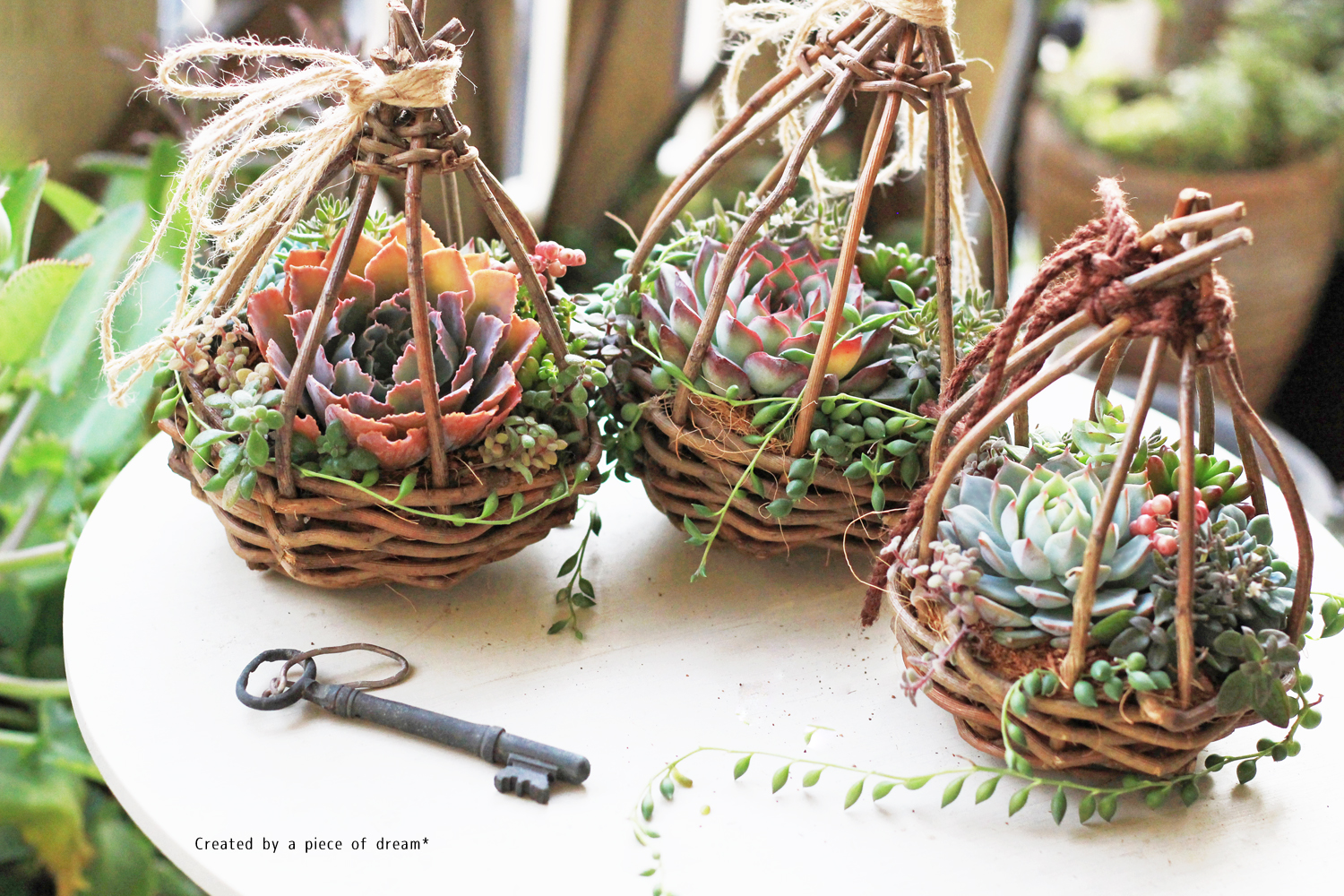 簡単DIY！蔓（ツル）で植物と一緒にかざれる蔓かごをつくってみよう