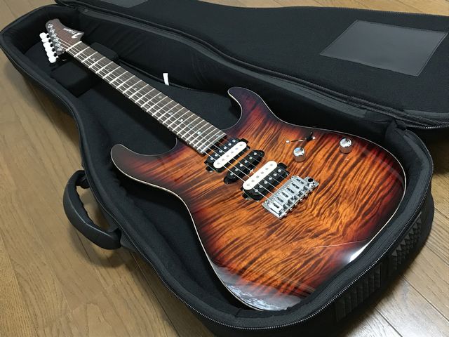 ティーズギター T's Guitars DST Pro 24 Mahogany Limited レビュー