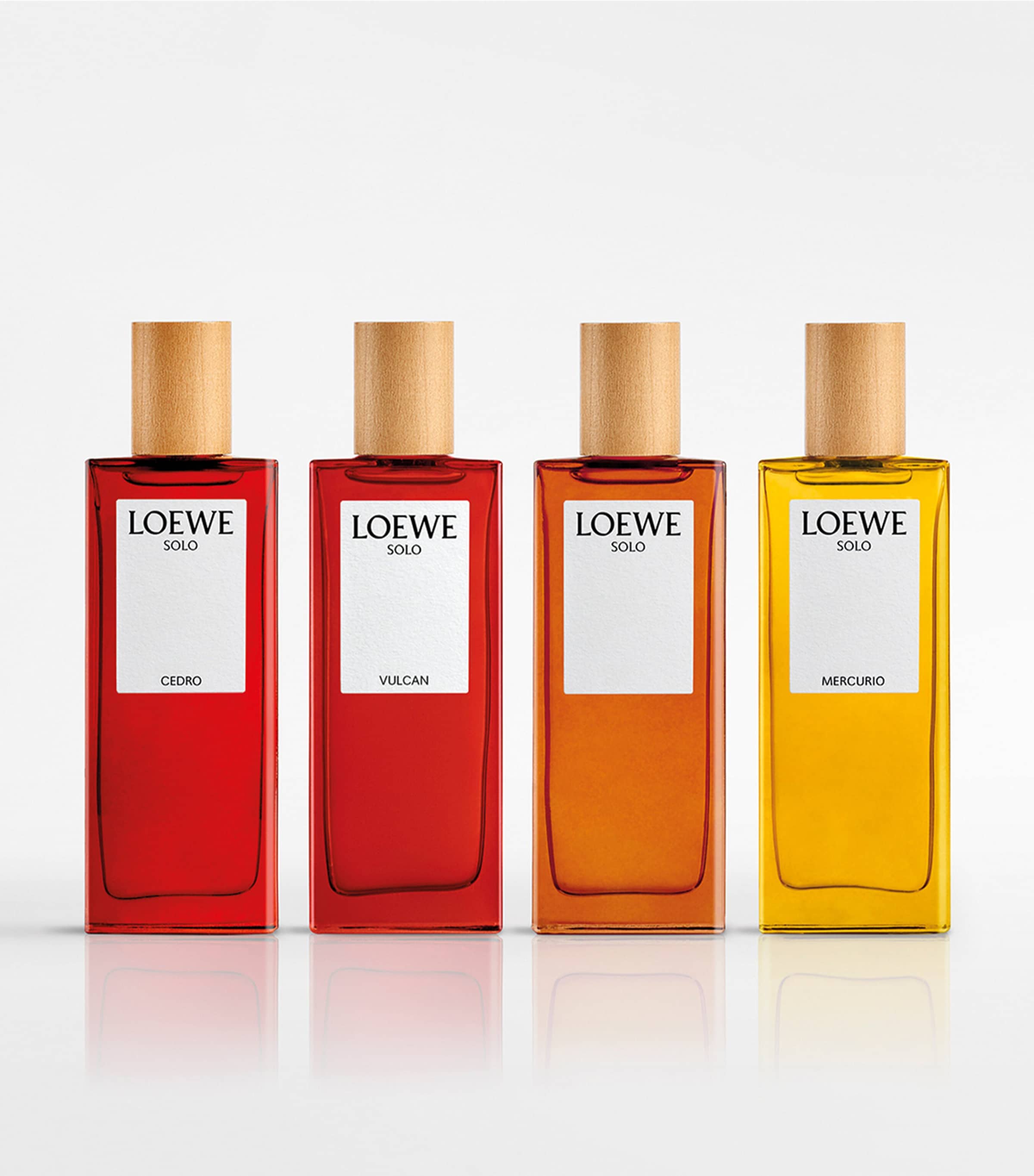 LOEWE Solo Vulcan Eau de Parfum (100ml) | Harrods US