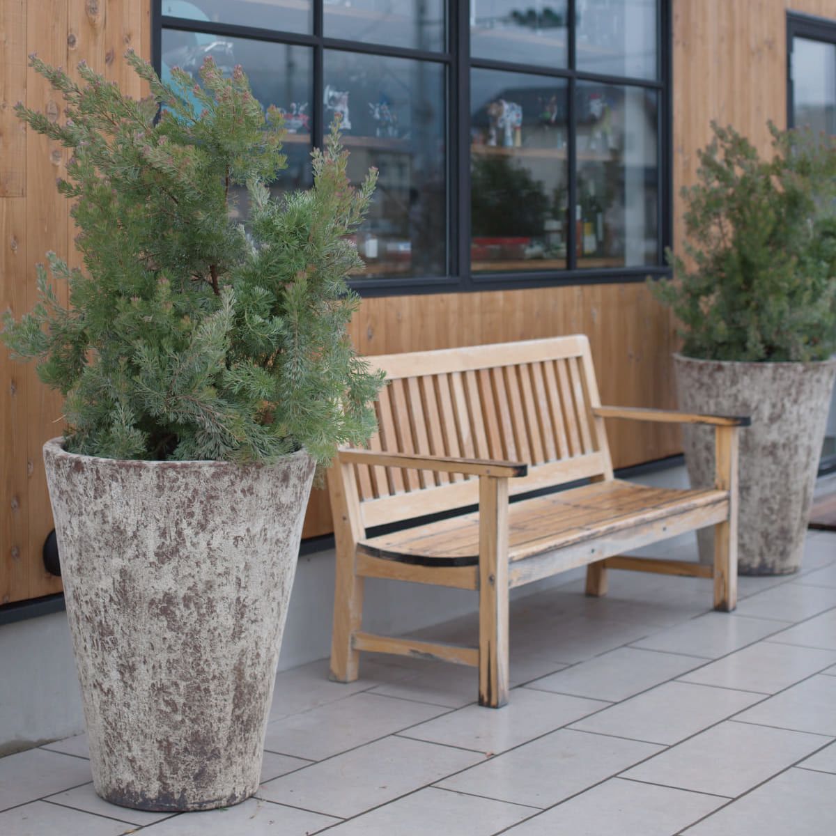 アビスネブラ トール｜ヤマテーのガーデンプランター