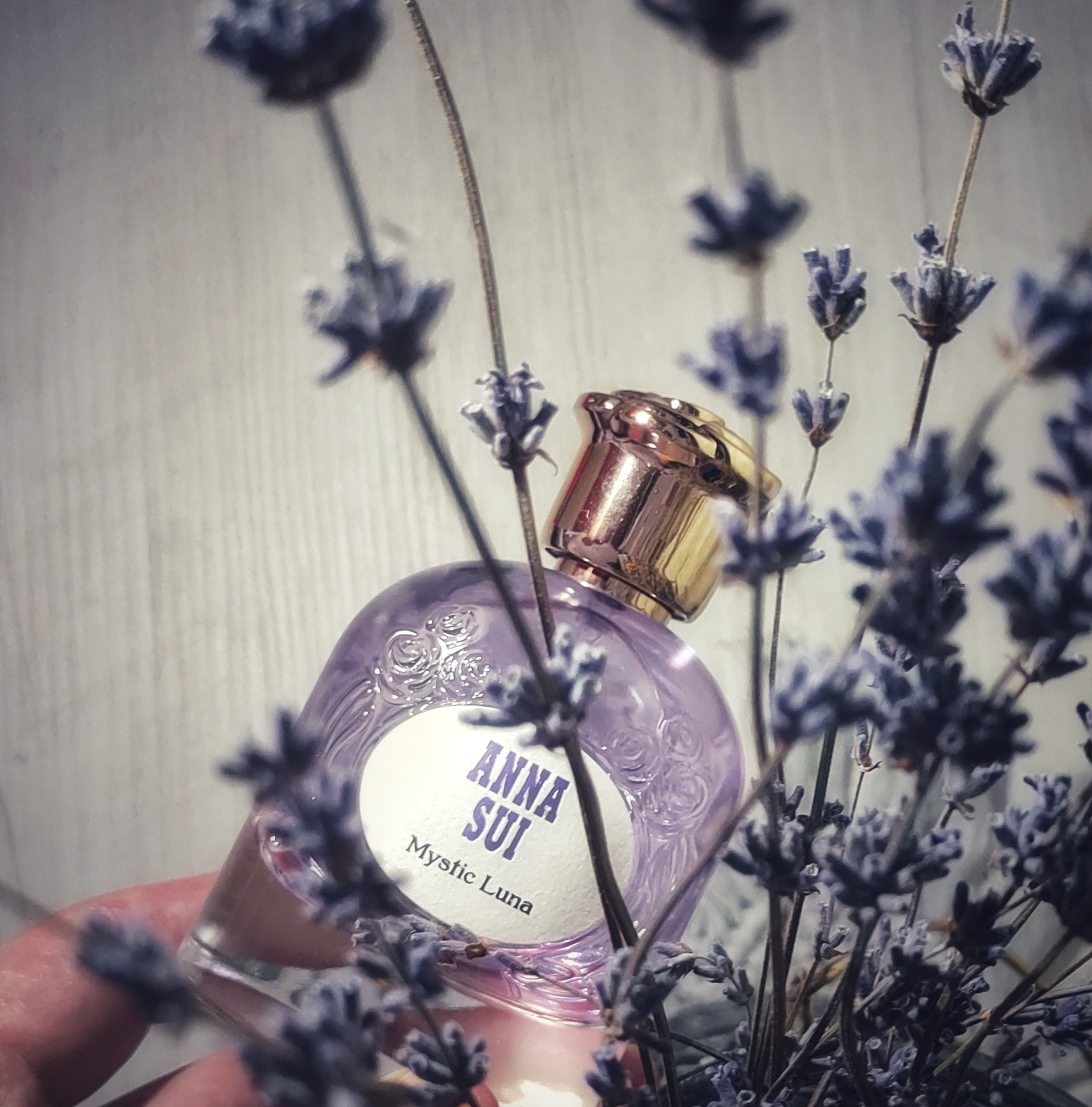 Anna Sui Mystic Luna - Eau de Parfum | Makeup.uk