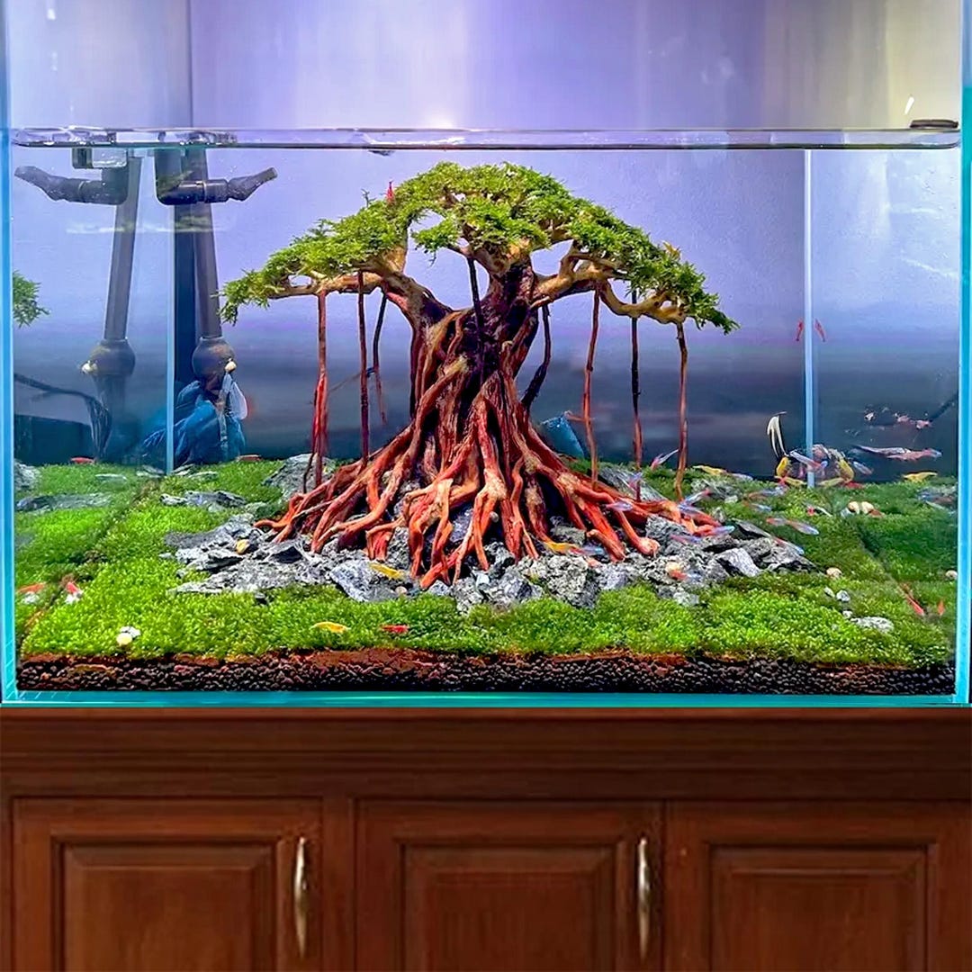 流木水槽盆栽木植物木製アクアスケープアクアスケープ盆栽流木水槽装飾