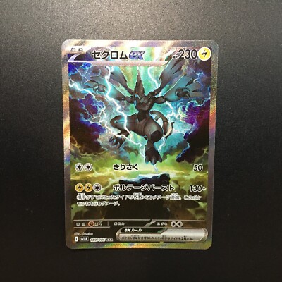 Zekrom ex SAR 169/086 & Hydreigon ex SAR 171/086 Pokemon Card