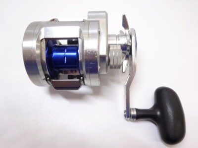 Daiwa Ryoga BJ C2020 PE-H Baitcast Fishing Reel | eBay