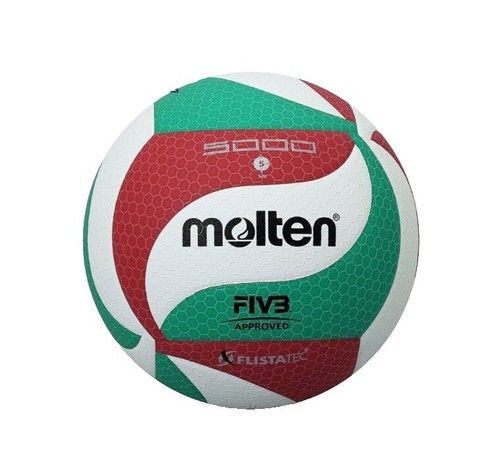 Molten JAPAN V5M4550 Official Ball Volleyball Pro Touch size:5 | eBay