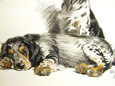 Cecil Aldin 1930 TORTOISESHELL SPANIELS Black & Brown Spotted Dogs