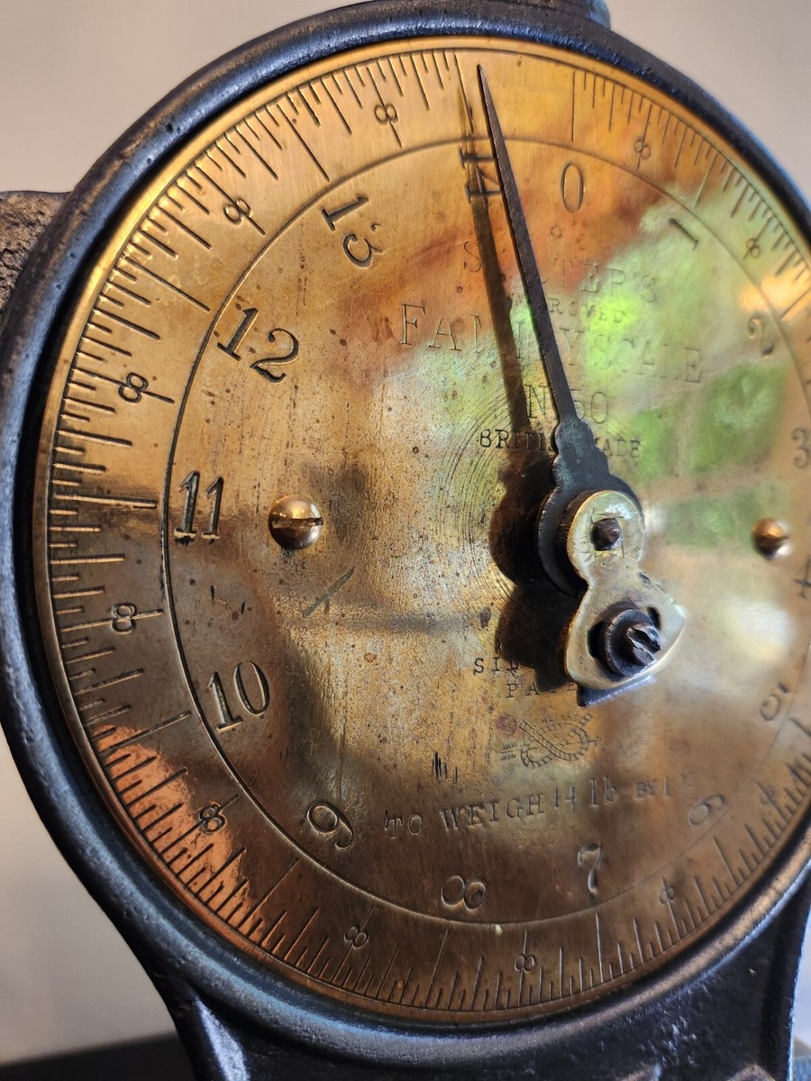 Antique Salter Family Scales No 50 | eBay