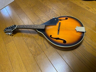 弦楽器 ARIA FlatMandolin AM-200E
